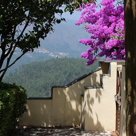 Πανσιόν Arrabia